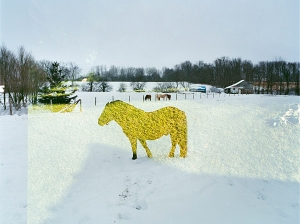 Untitled, 2008