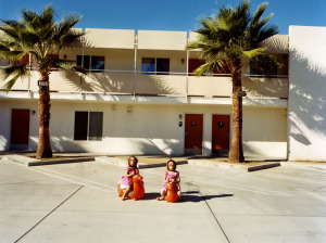 tree twins