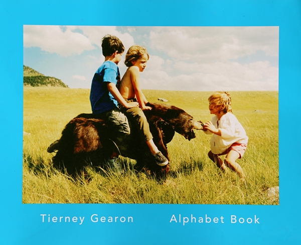 Alphabet Book Cover