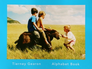 Alphabet Book Cover