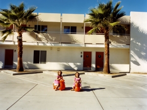 tree twins