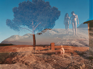 Untitled, 2008