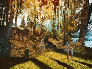Untitled, 2008