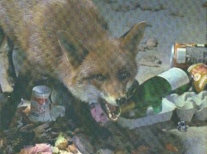 Daddy, Where Are You?