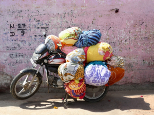 Jardin Anima, Ourika, Marrakech, Morocco, 2024